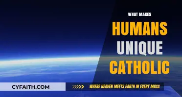 Catholic Perspective: Unveiling Humanity's Distinctive Gifts and Divine Purpose