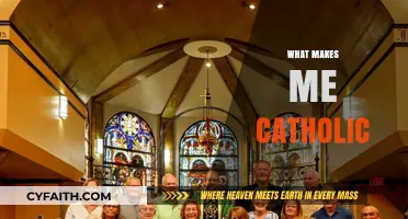 Faith, Tradition, and Community: My Catholic Identity Explained