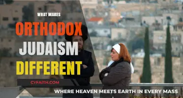 Distinct Practices and Beliefs: Exploring the Unique Identity of Orthodox Judaism