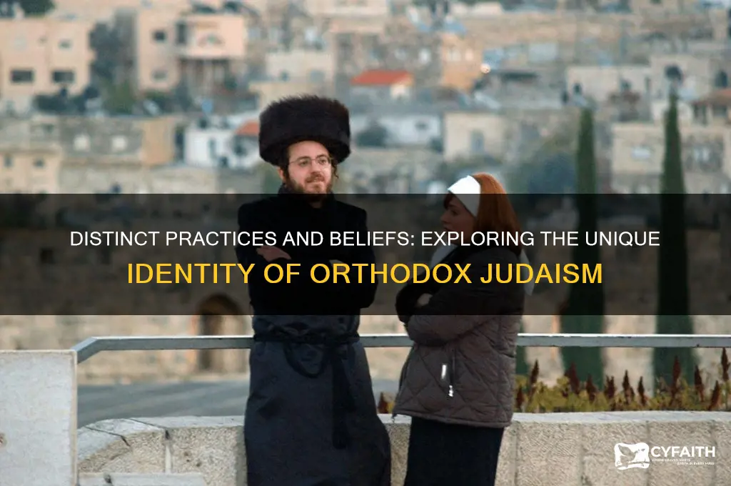 what makes orthodox judaism different