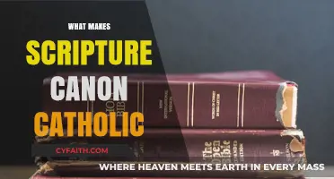 Understanding the Criteria for Scripture's Canon in Catholic Tradition