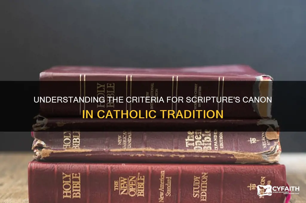 what makes scripture canon catholic