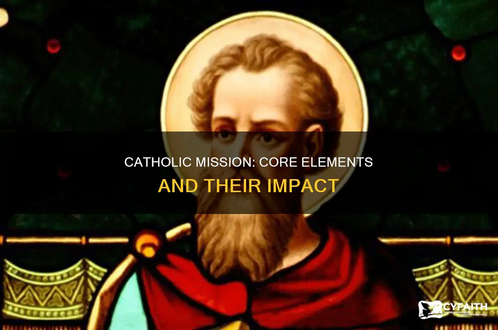 what makes up a catholic mission