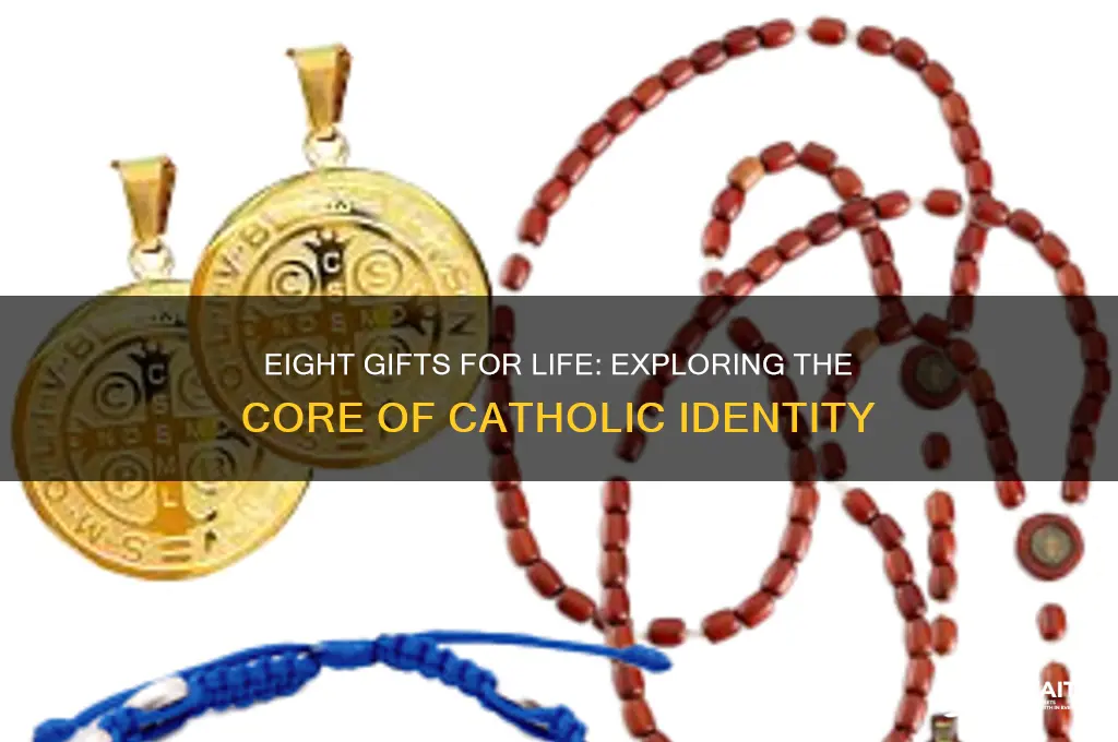 what makes us catholic eight gifts for life summary