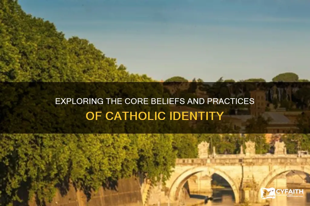 what makes us catholic sparknotes