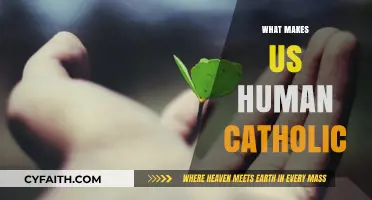 Exploring Catholic Perspectives on Humanity's Unique Essence and Purpose