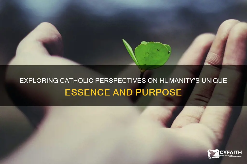 what makes us human catholic