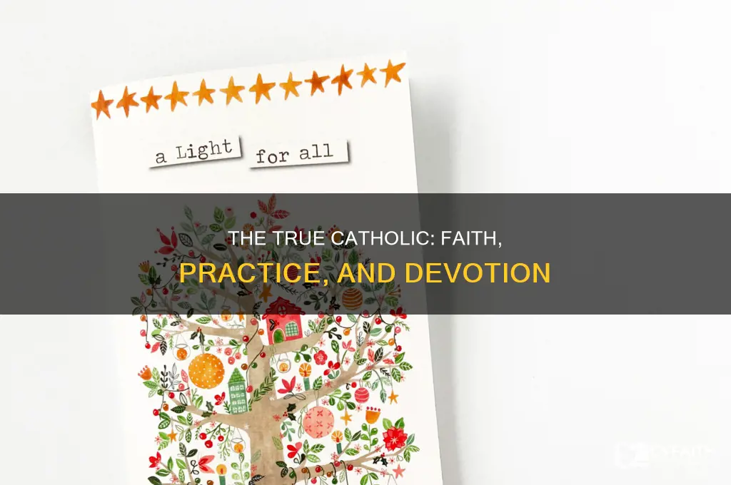 what makes you a true catholic