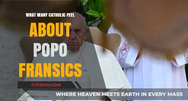 Pope Francis: A Catholic Conundrum?