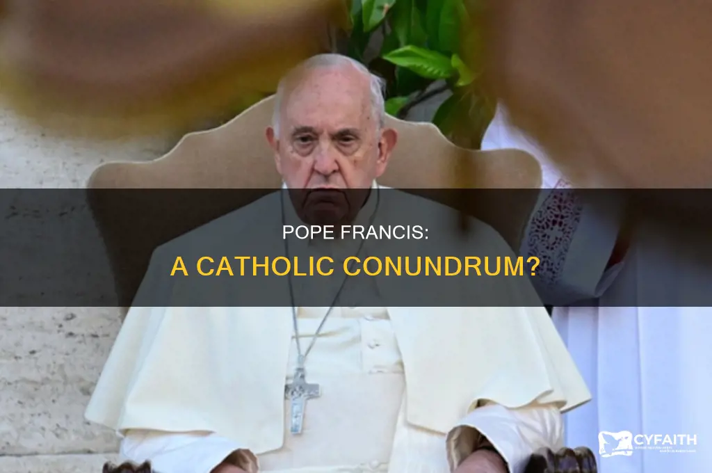 what many catholic feel about popo fransics