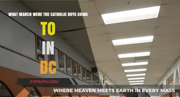 Catholic Boys' March to DC: Purpose and Controversy Explained