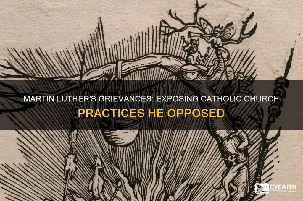 what martin luther did not like about the catholic system