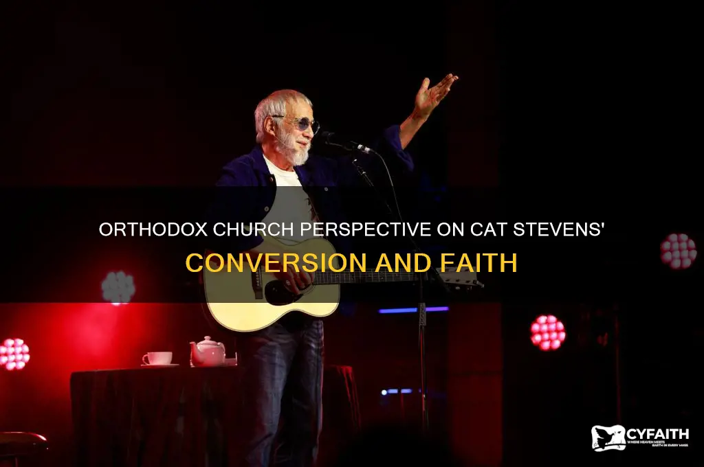 what mdoes the orthodox church think of cat stevens