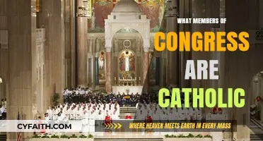 Catholic Congress Members: Who Are They?