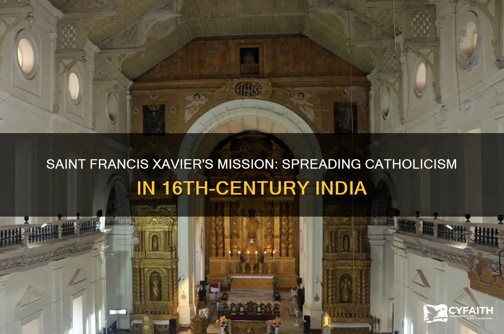 what missionary went to india to teach the catholic religion