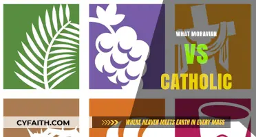 Moravian vs Catholic: Key Differences in Beliefs and Practices Explained
