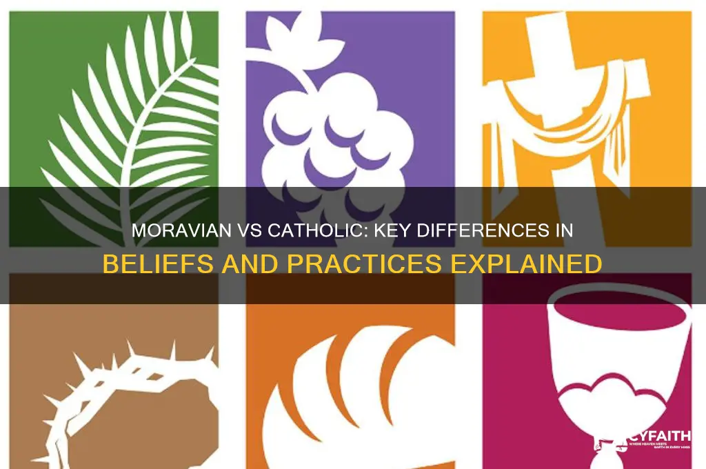 what moravian vs catholic