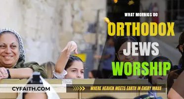 Orthodox Jewish Morning Worship: Rituals, Prayers, and Daily Devotion