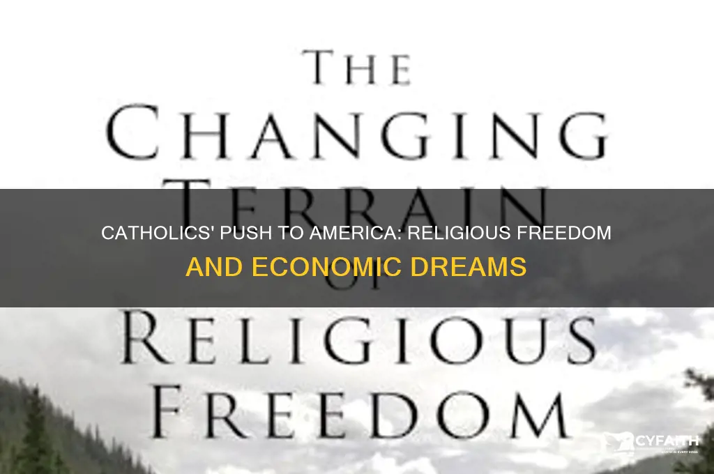 what motivated catholics to immigrate to america