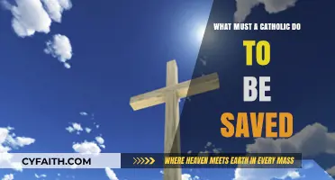 Salvation Steps for Catholics: What You Need to Know