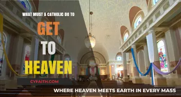 Catholic Path to Heaven: Essential Steps for Eternal Salvation