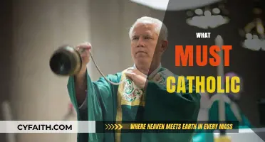 What Must Catholic Faithful Embrace in Today's World?
