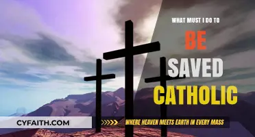 The Path to Salvation: A Catholic Guide
