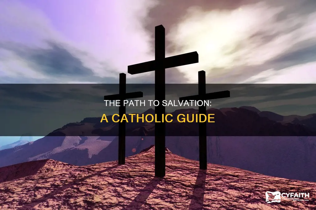what must i do to be saved catholic