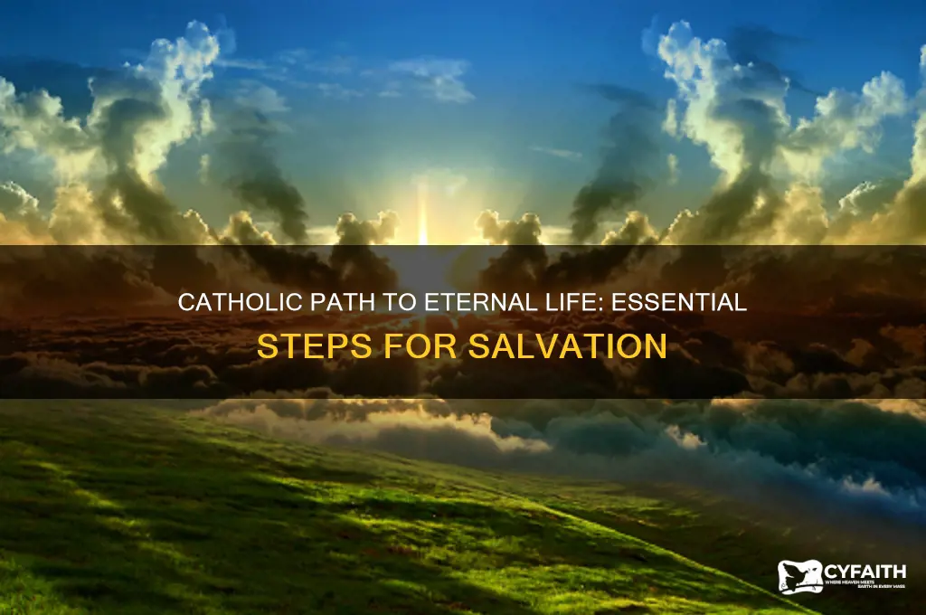 what must i do to inherit eternal life catholic