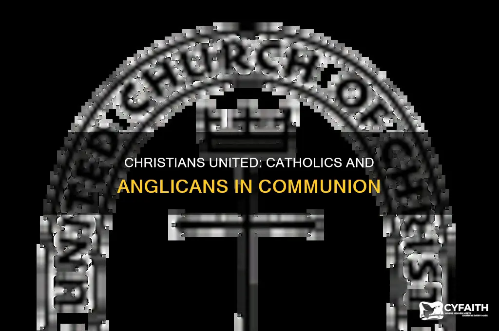 what name do we call catholics and anglicans