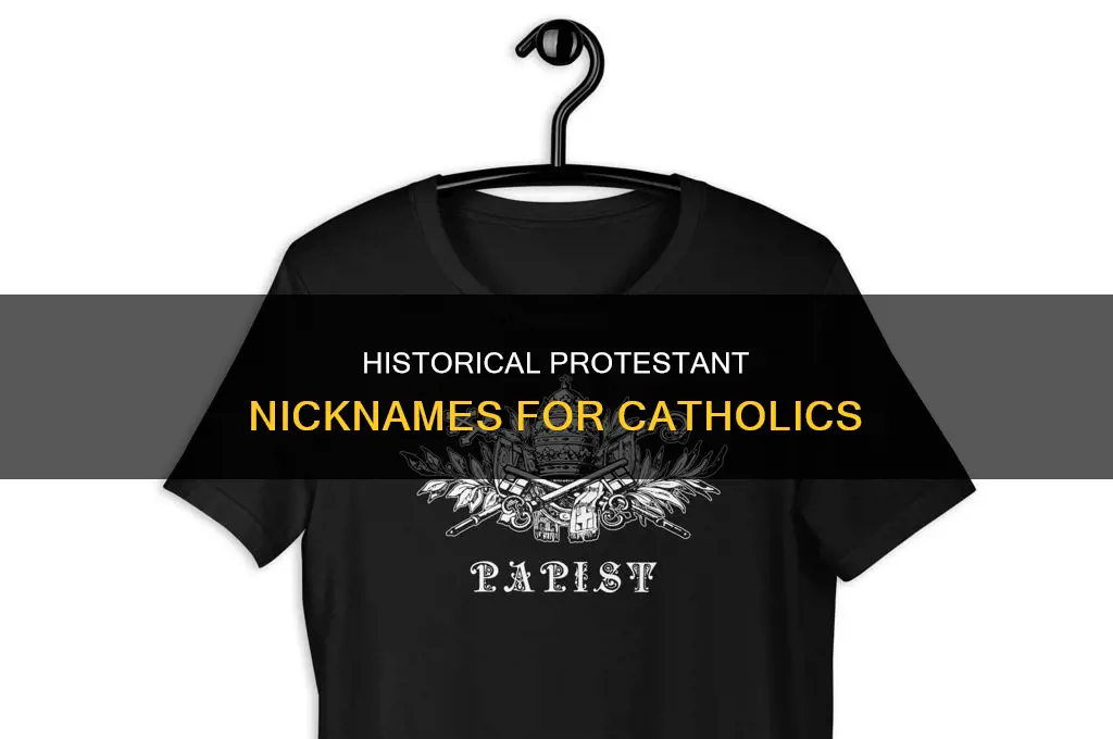 what names did protesants call catholics