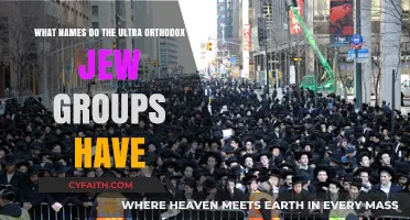 Exploring the Unique Names of Ultra-Orthodox Jewish Groups and Communities