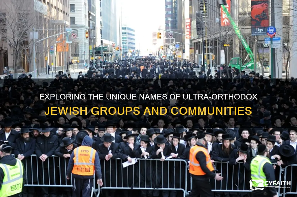what names do the ultra orthodox jew groups have