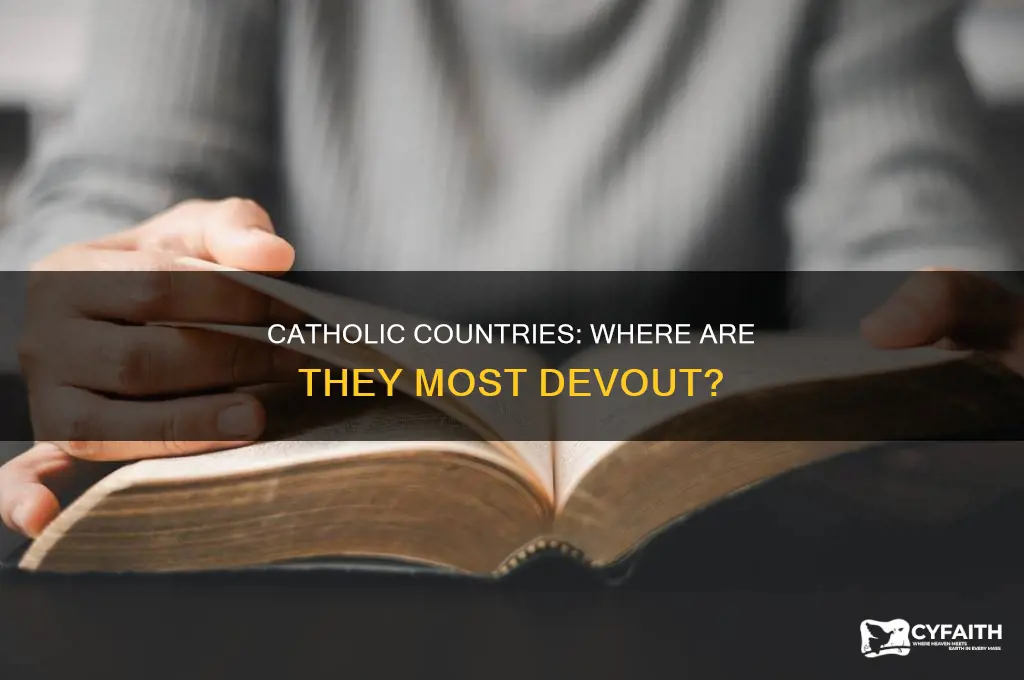 what nation by percentage is the most catholic