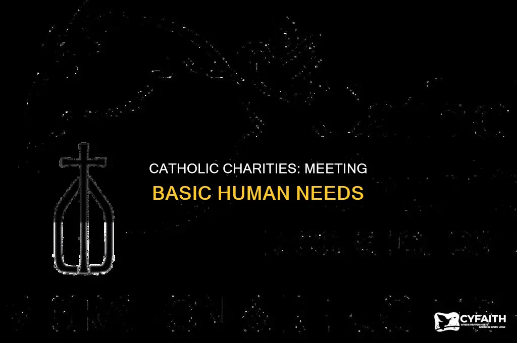 what needs do catholic charities attempt to meet