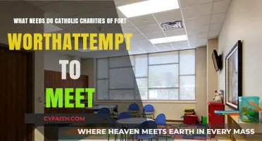 Catholic Charities Fort Worth: Addressing Community Needs with Compassion and Care