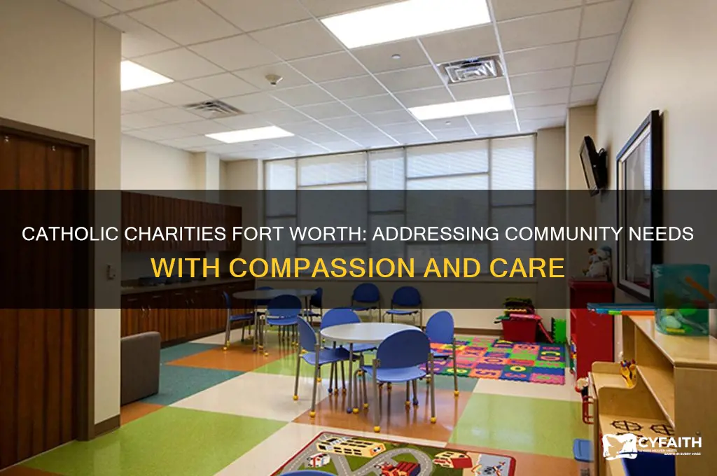 what needs do catholic charities of fort worthattempt to meet
