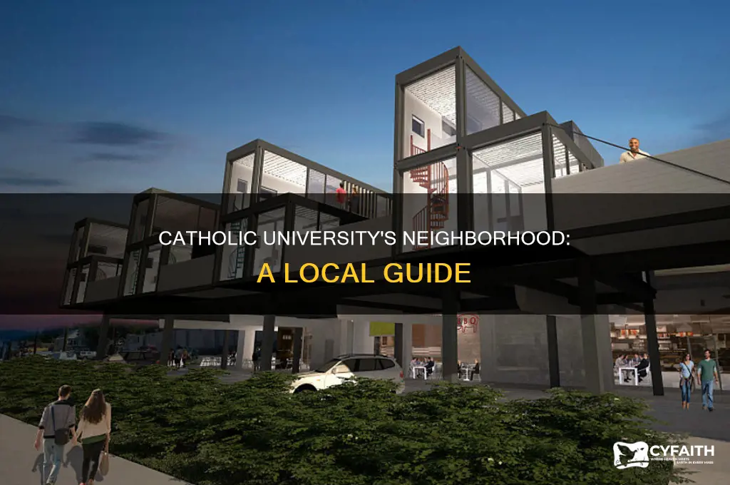 what neighborhood is catholic university in