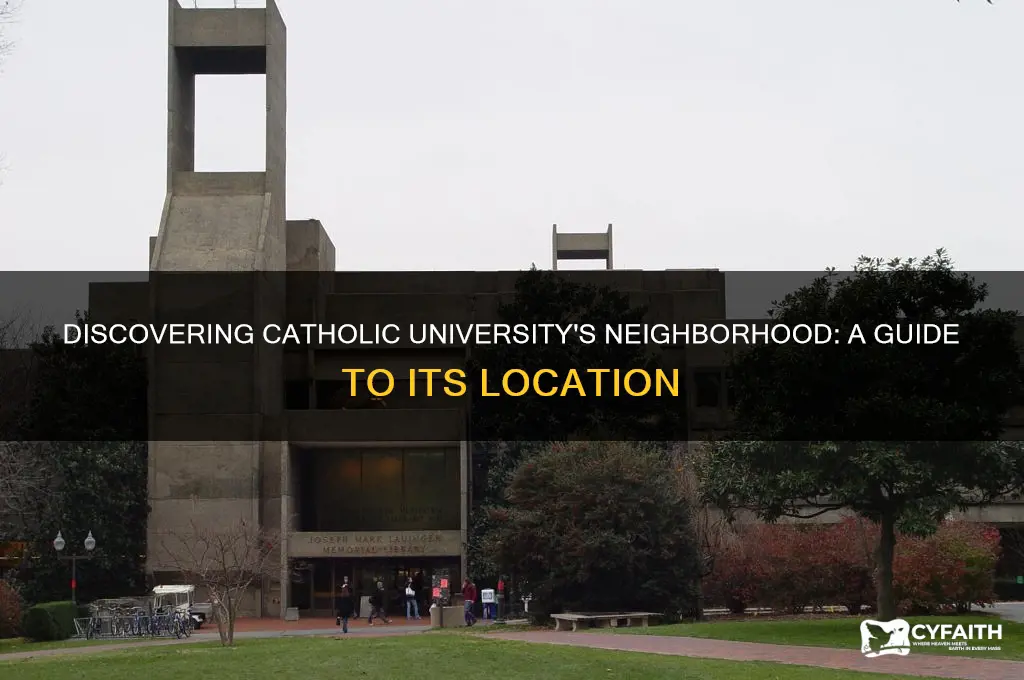 what neighborhood is catholic university