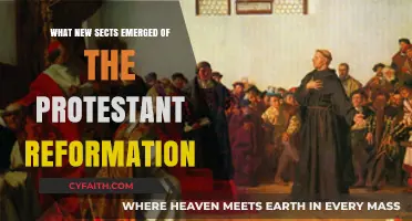 Exploring the Birth of New Sects from the Protestant Reformation