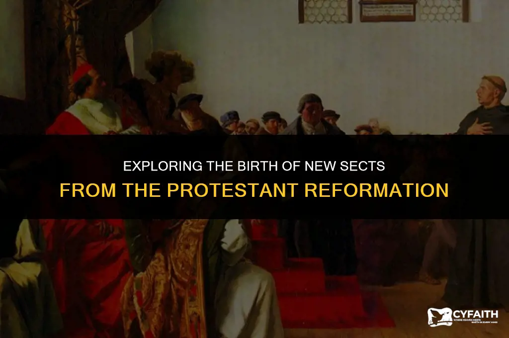 what new sects emerged of the protestant reformation