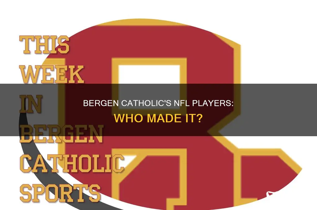 what nfl players went to bergen catholic