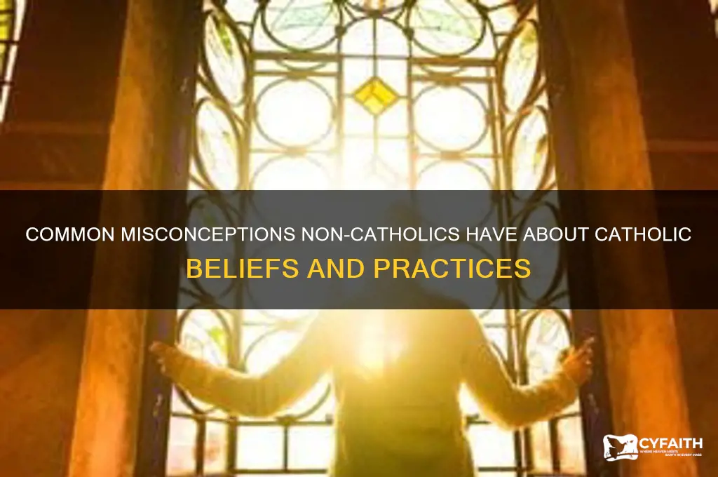 what non catholics misd