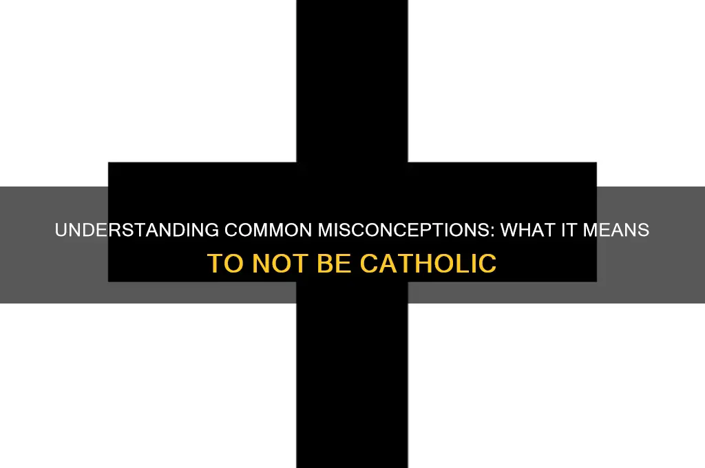what not a catholic