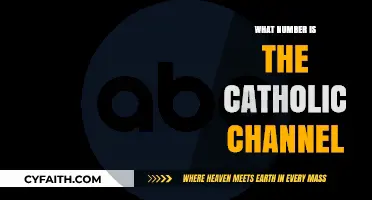 Catholic Channel: What Number Does It Fall On?