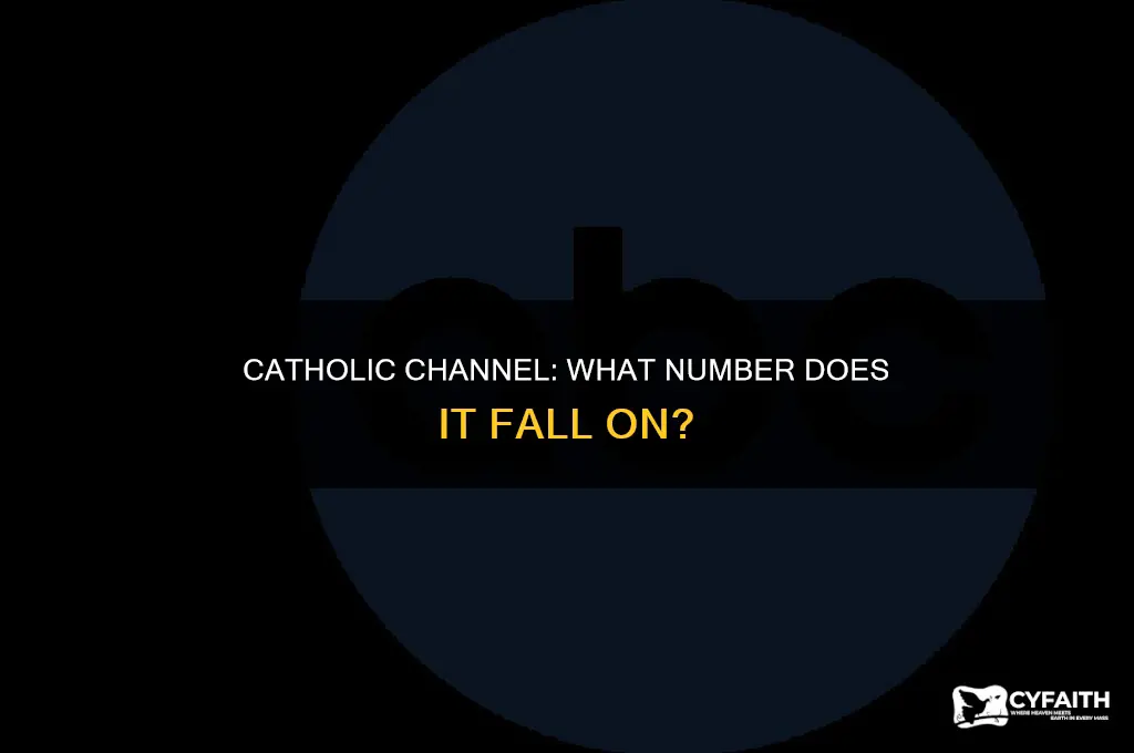 what number is the catholic channel