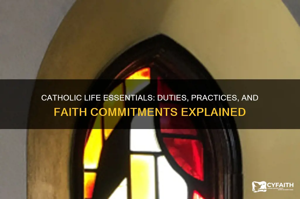 what o you have to do as a catholic