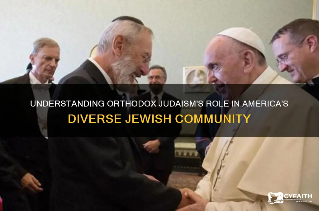what of american jews are orthodox