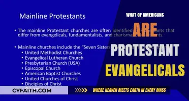Understanding the Influence of Protestant Evangelicals in America