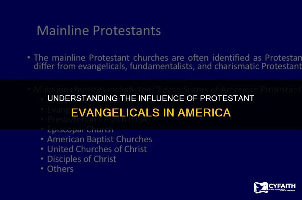 what of americans are protestant evangelicals